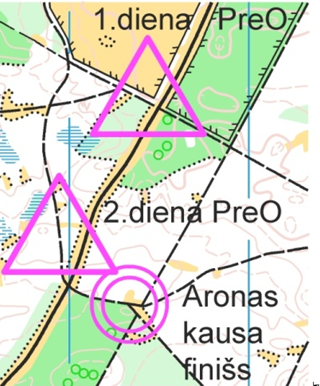 Arona